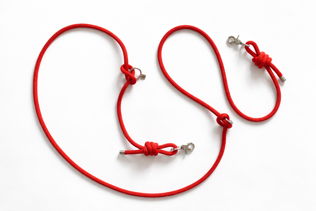 Multi-position hands-free leash