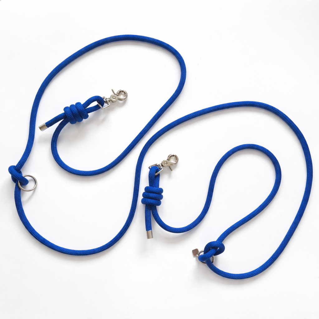 Multi-position hands-free leash