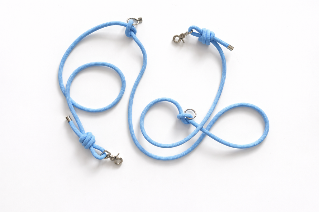 Multi-position hands-free leash