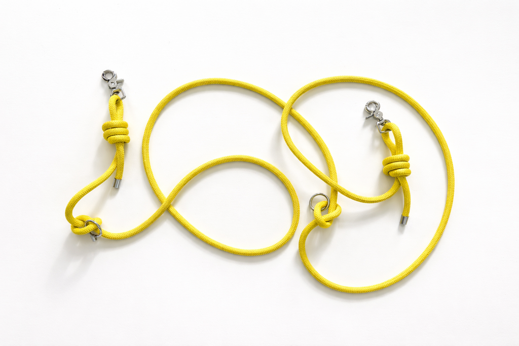 Multi-position hands-free leash