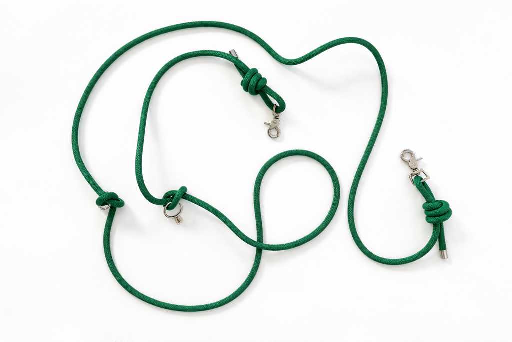 Multi-position hands-free leash